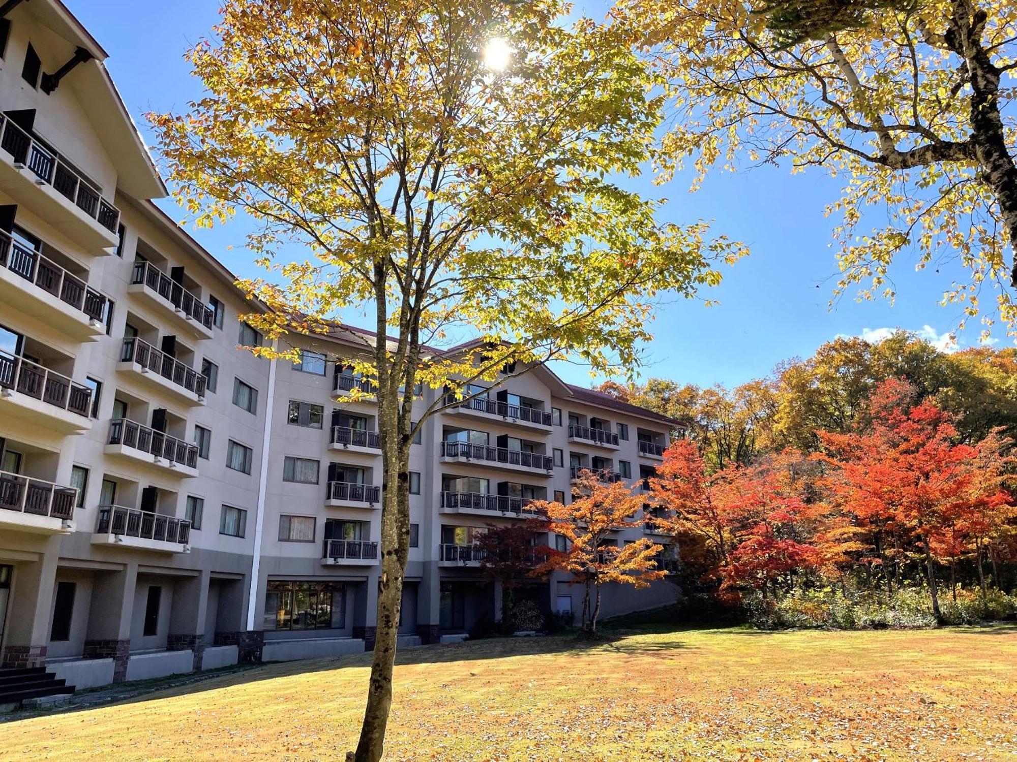 Hakuba Tokyu Hotel Nagano Ngoại thất bức ảnh